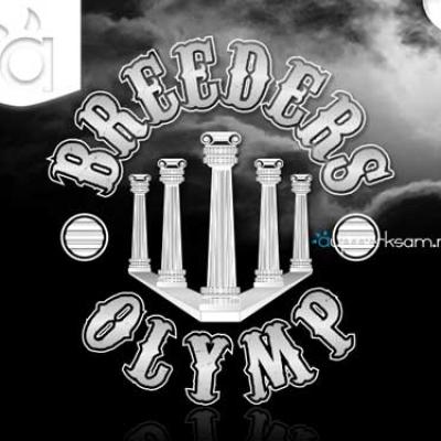 Breeders Olymp Logo